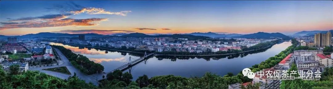 娌冲崡淇￠槼绾㈠煄鑼朵埂,鏂板幙绾㈠煄鑼朵埂