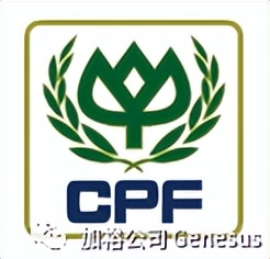 全球生猪养殖企业排名,世界十大牧业集团排名