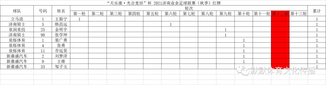 济南天乐康足球比赛,天乐康光合麦田杯