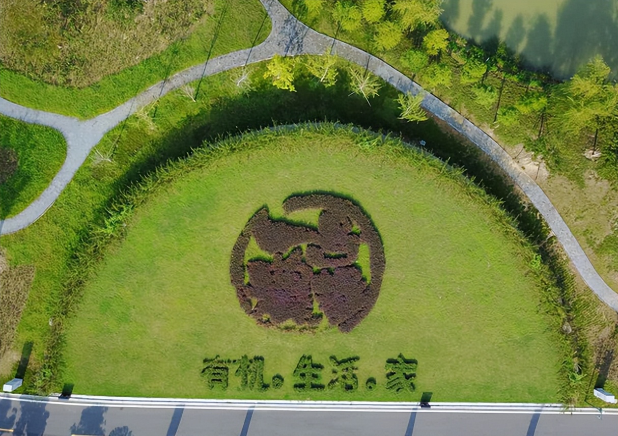 观麦生鲜怎么样,观麦生鲜好做吗