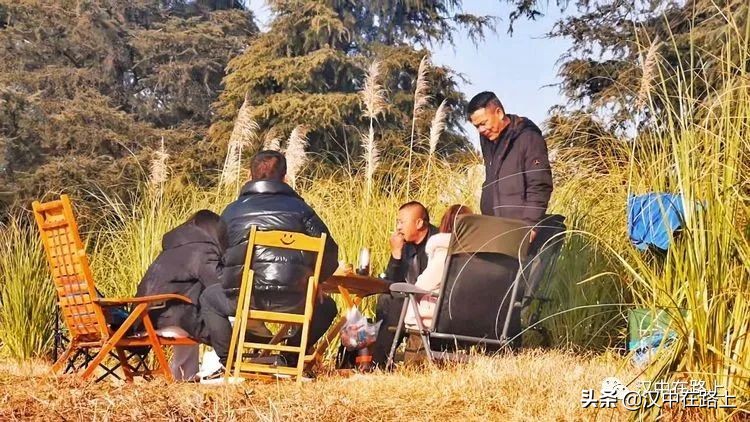 冬泳爱好者低温中畅游泳,泳者无所畏惧