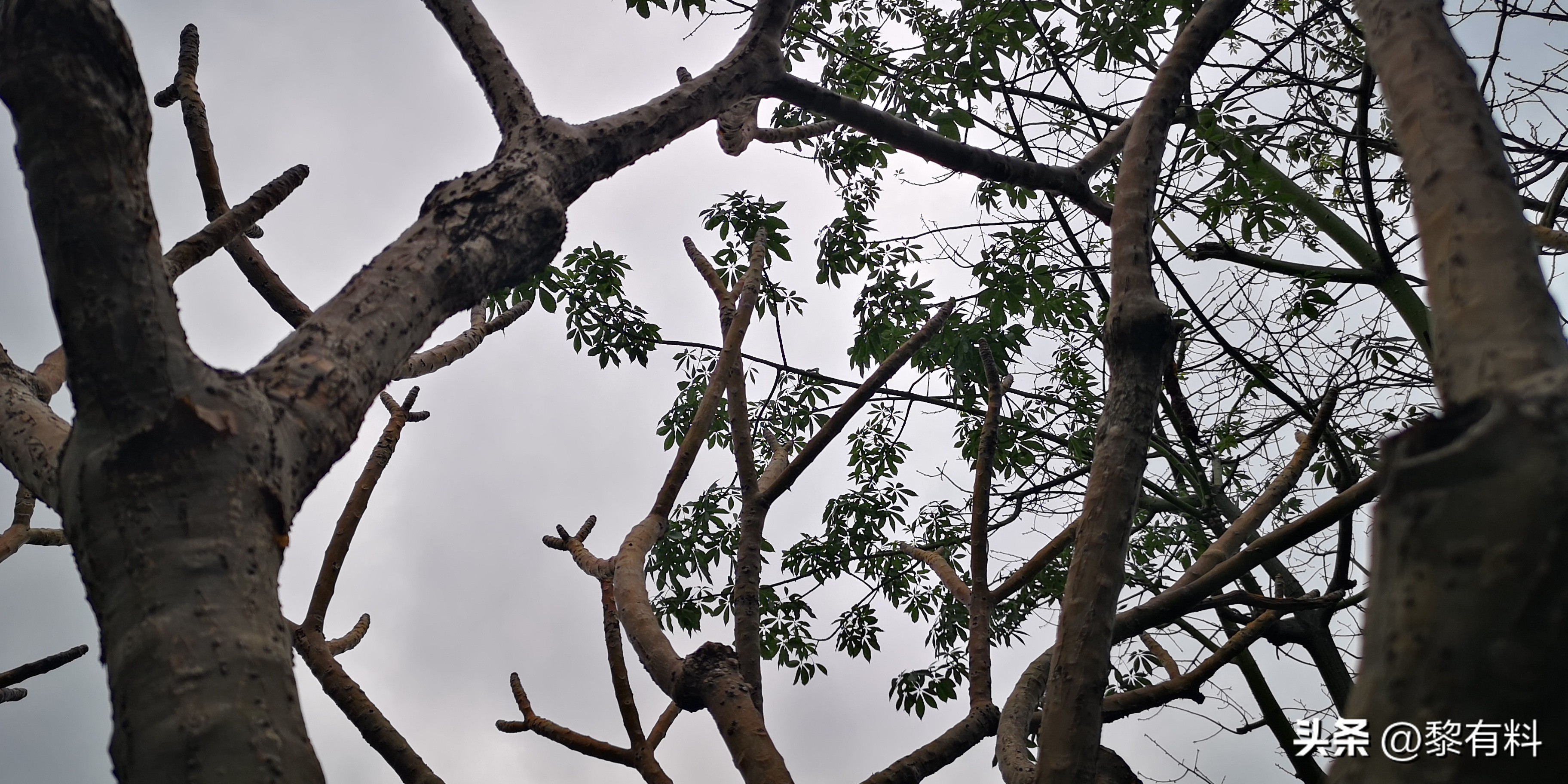 2个案例3点启示,它当然比金钱更可贵!