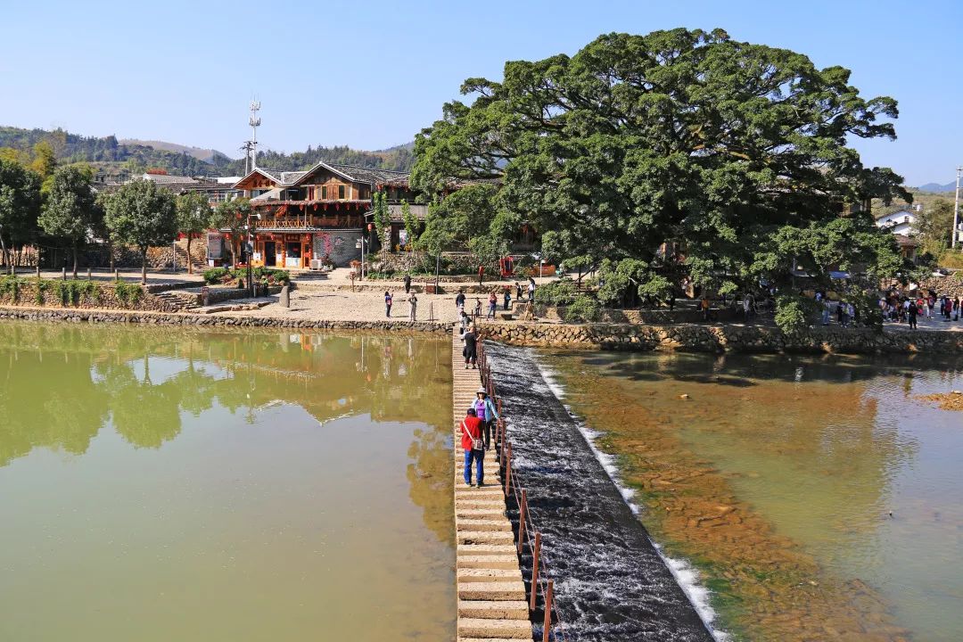 厦门亲子旅行攻略,厦门北站亲子宾馆