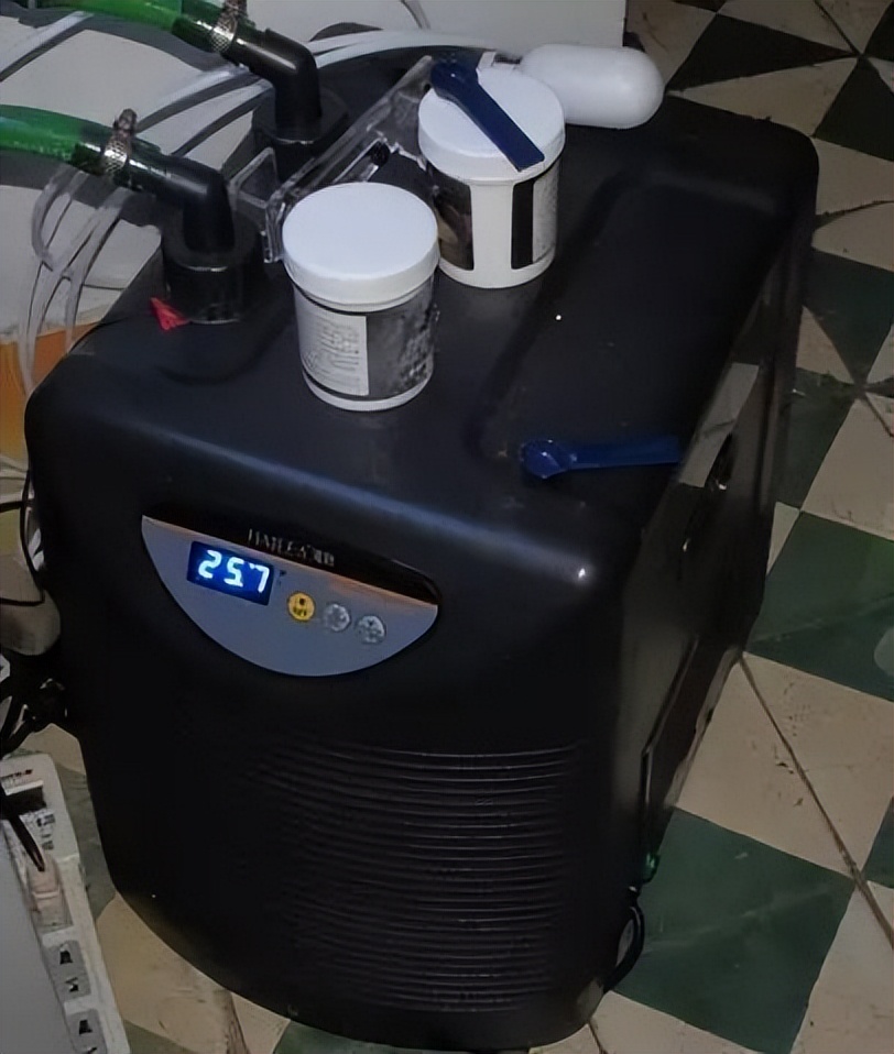 海水珊瑚缸鹦鹉螺,海水缸珊瑚视频大全