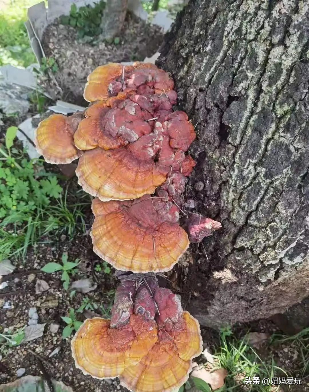 初冬的济南南部山区游玩攻略,济南南部山区旅游攻略