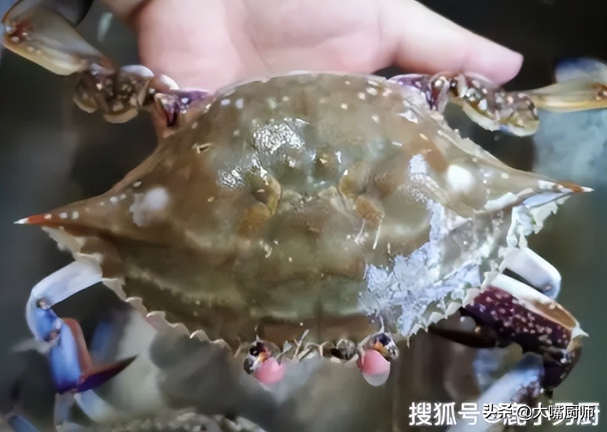 水产市场梭子蟹挑选方法,海鲜市场梭子蟹怎么挑选有肉肥