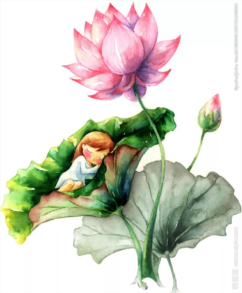 我梦里幻想过无数次的场景,一场梦的神游