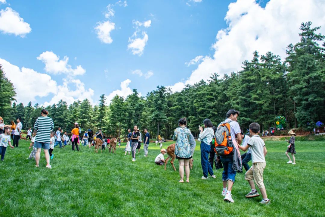 周末周边游盘点，昆明周边那些舒适度假地，景美、露天、距离近