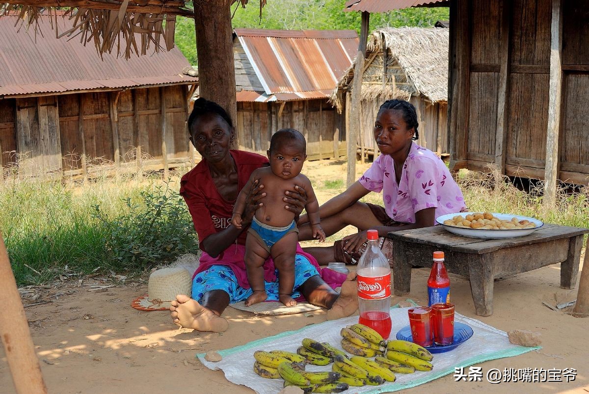 身处非洲，物种孤立进化的马达加斯加，各种奇瓜异果满岛飘香