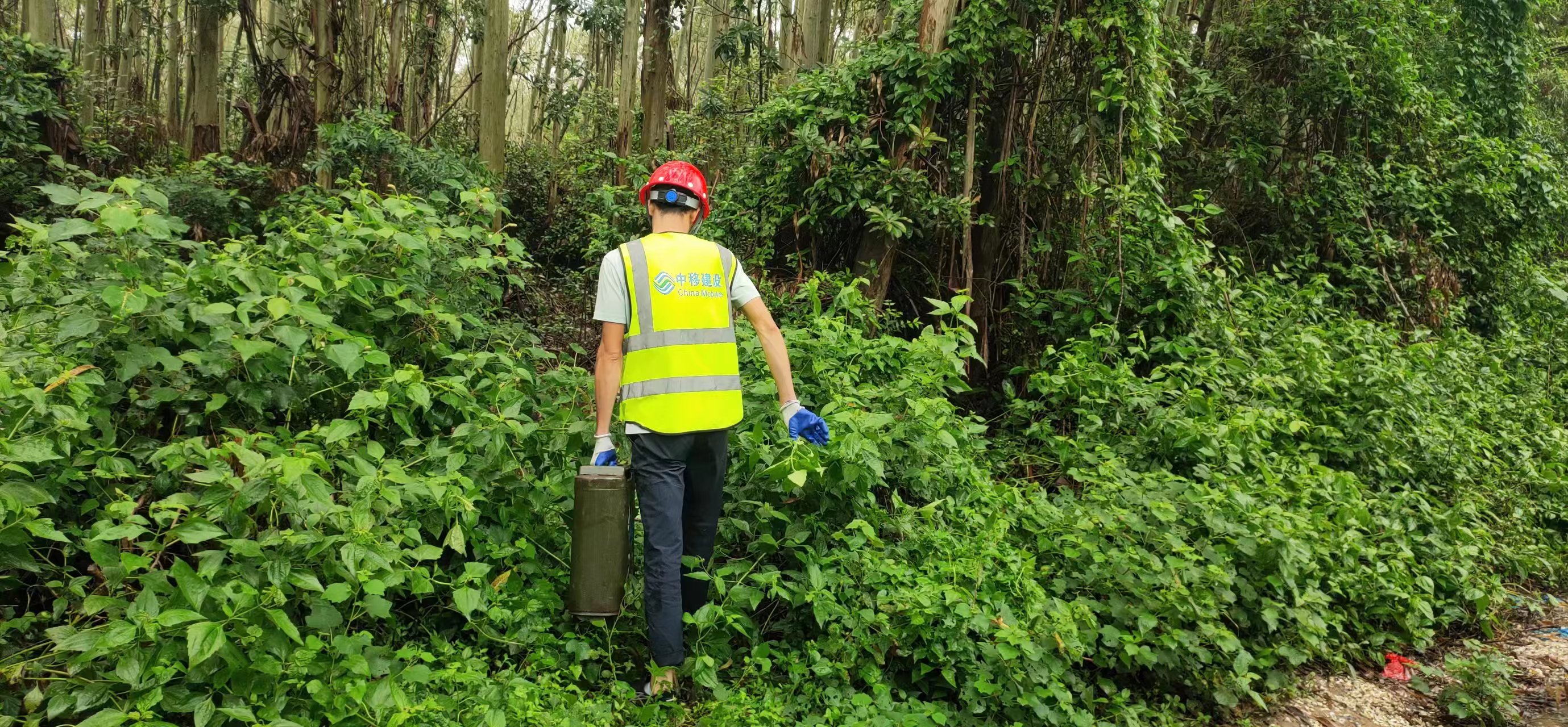 北海移动：风骤雨来急齐心协力保通信
