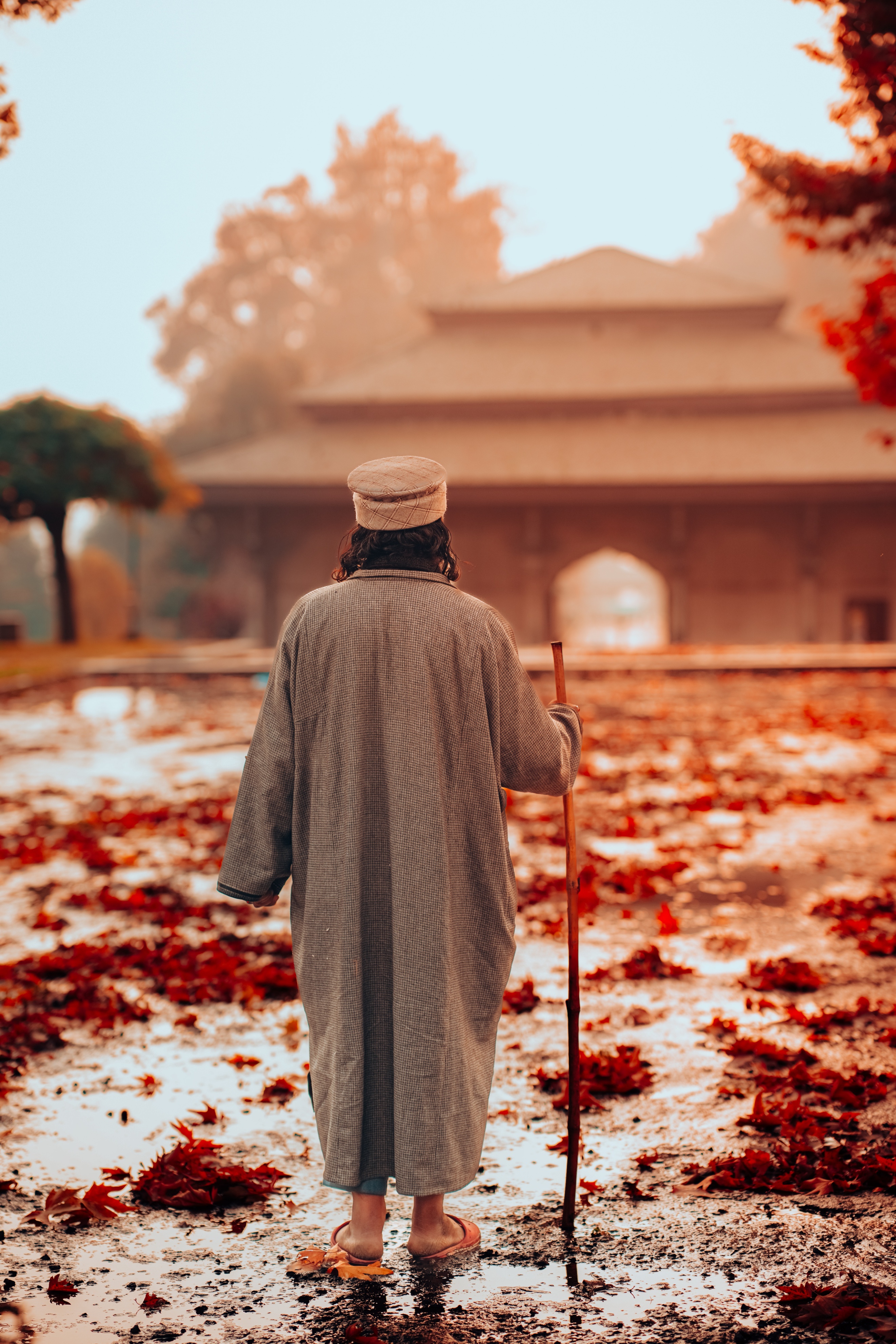 名师名言经典名句,教育名言名句经典