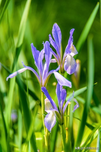 开始这8点,一年可以省下10000元