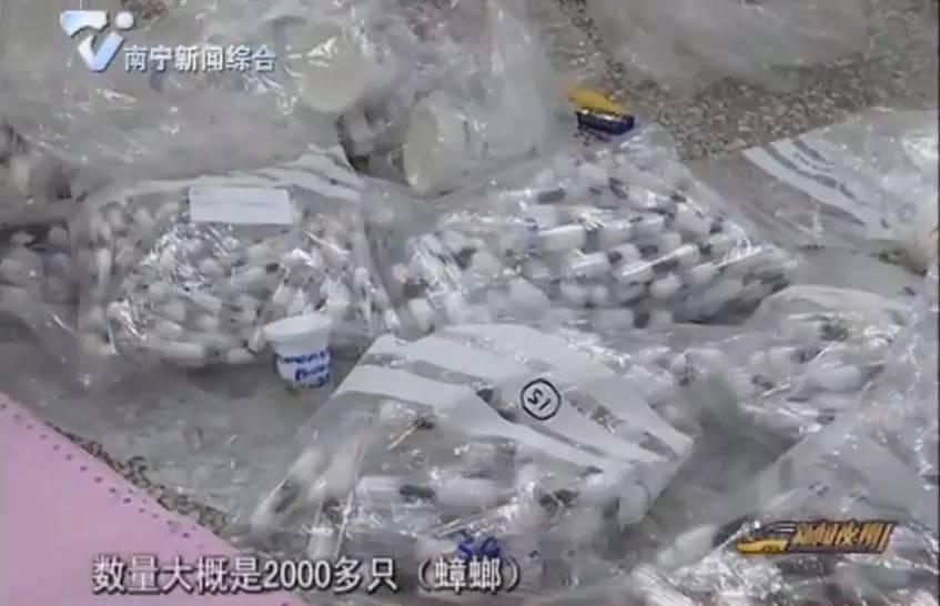 厦门海关截获2000只蟑螂,海关截获2000只活蟑螂如何处理