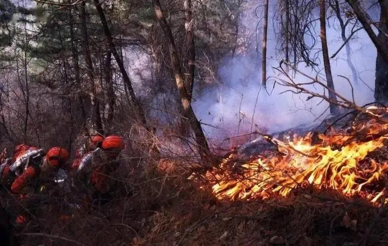 清明节祭祖的祭祀花的规定,清明节祭祖是烧香还是烧纸