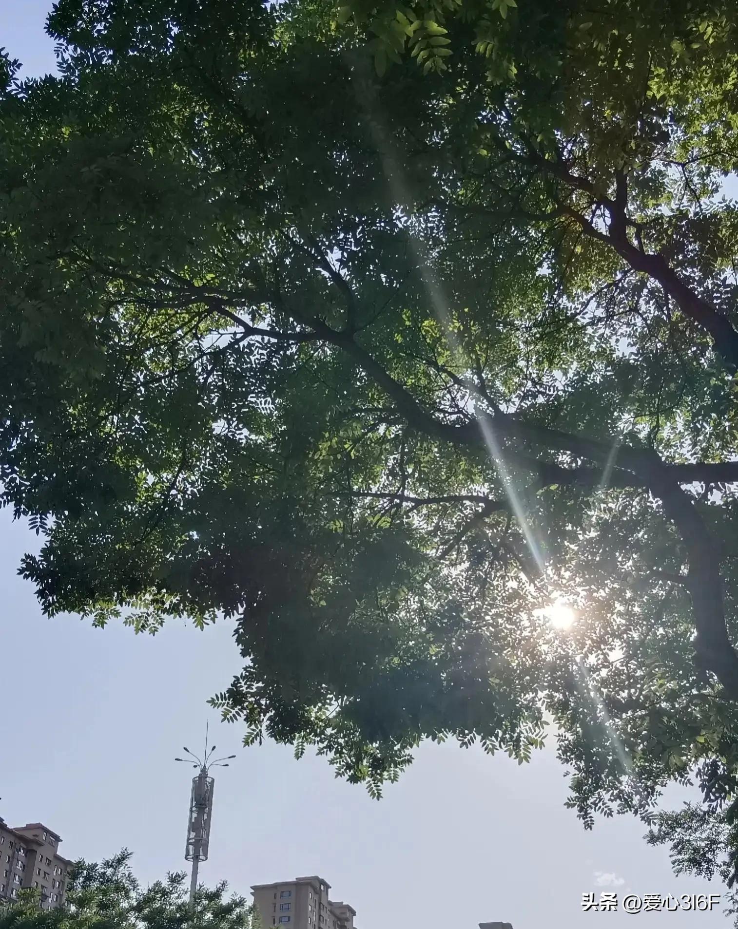 换码科技靠谱吗,换码科技骗人吗