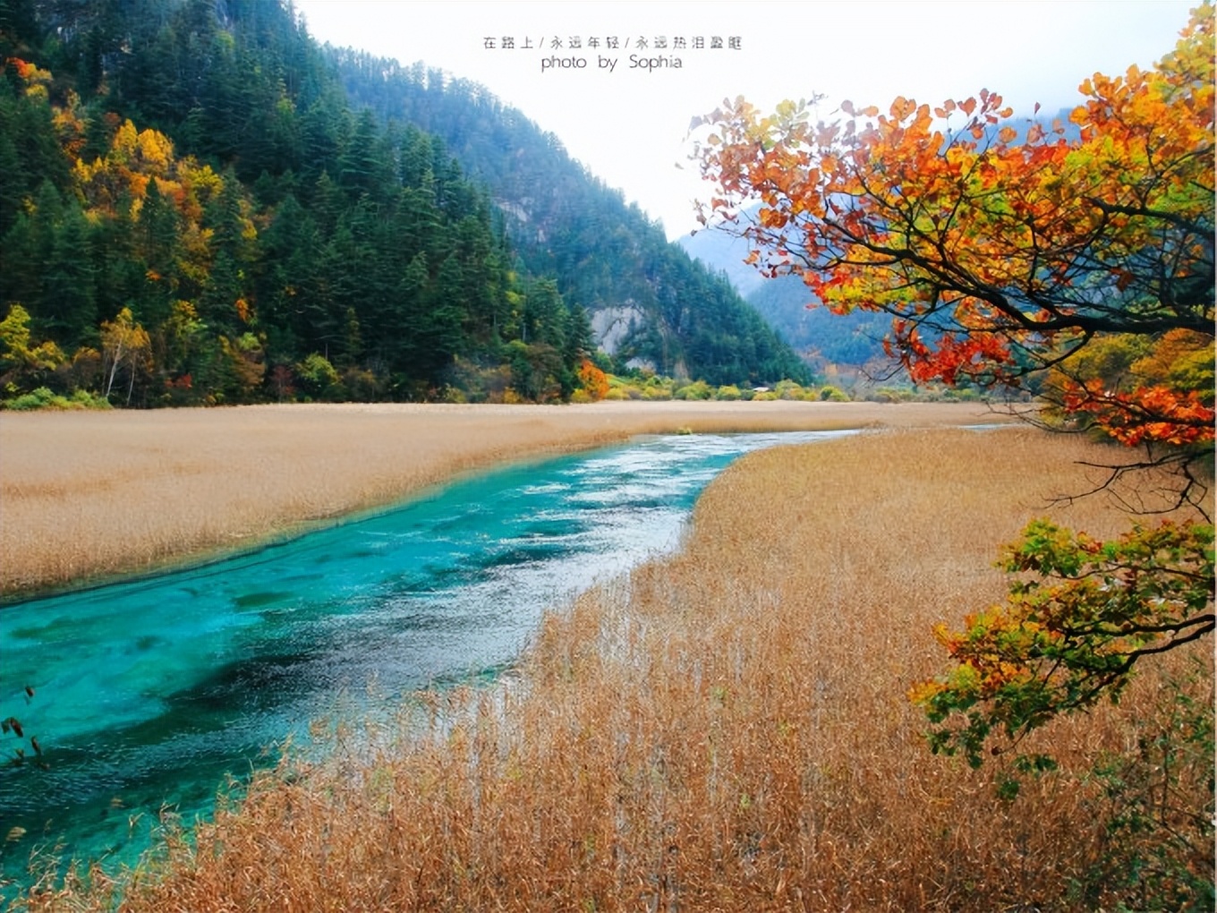 九寨沟旅游攻略路线图最新版,九寨沟旅游必去景区攻略