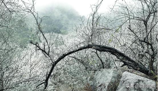 广东惠州惠东县旅游景点推荐,惠州惠东旅游景点大全排名