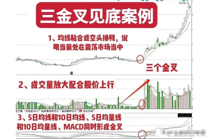 在股市散户需要注意什么,股市低迷时如何炒股