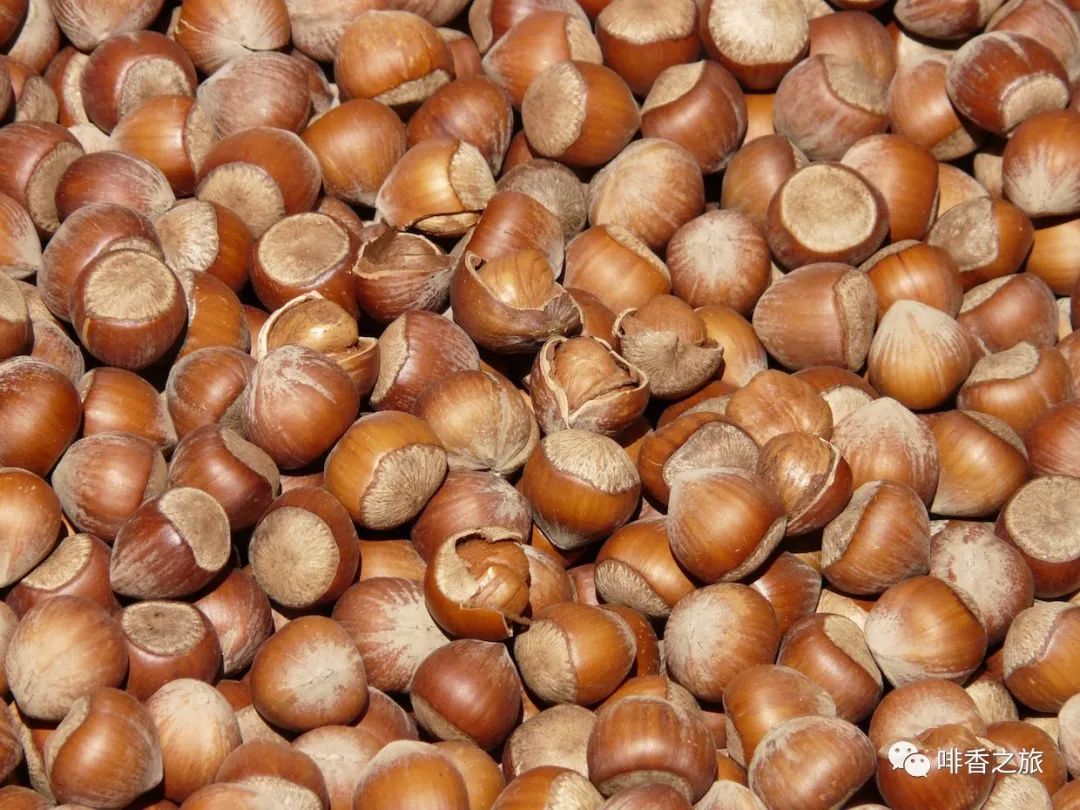 杏仁奶和纯牛奶哪个营养高,杏仁奶和豆奶的区别