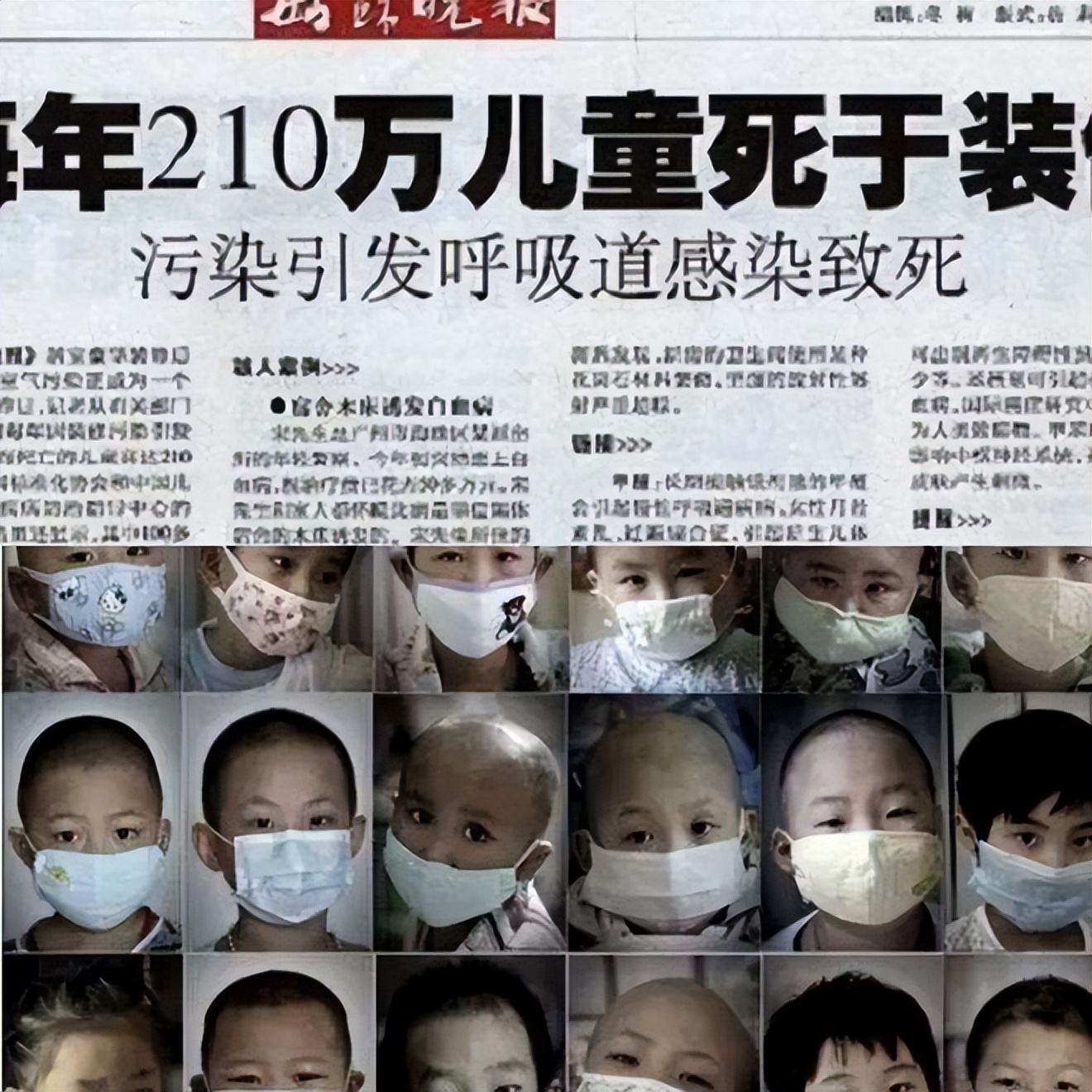 什么植物除甲醛最快最有效,什么植物除甲醛最快最有效又便宜