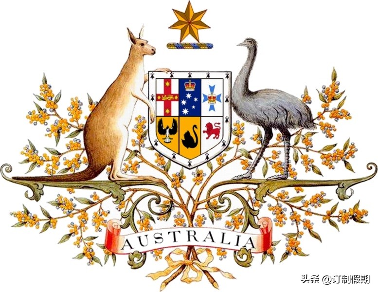 维珍澳洲航空商务舱,维珍航空澳洲