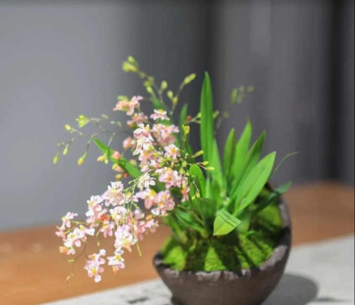 家庭客厅养什么花好看又旺财,客厅最吉祥的三种花