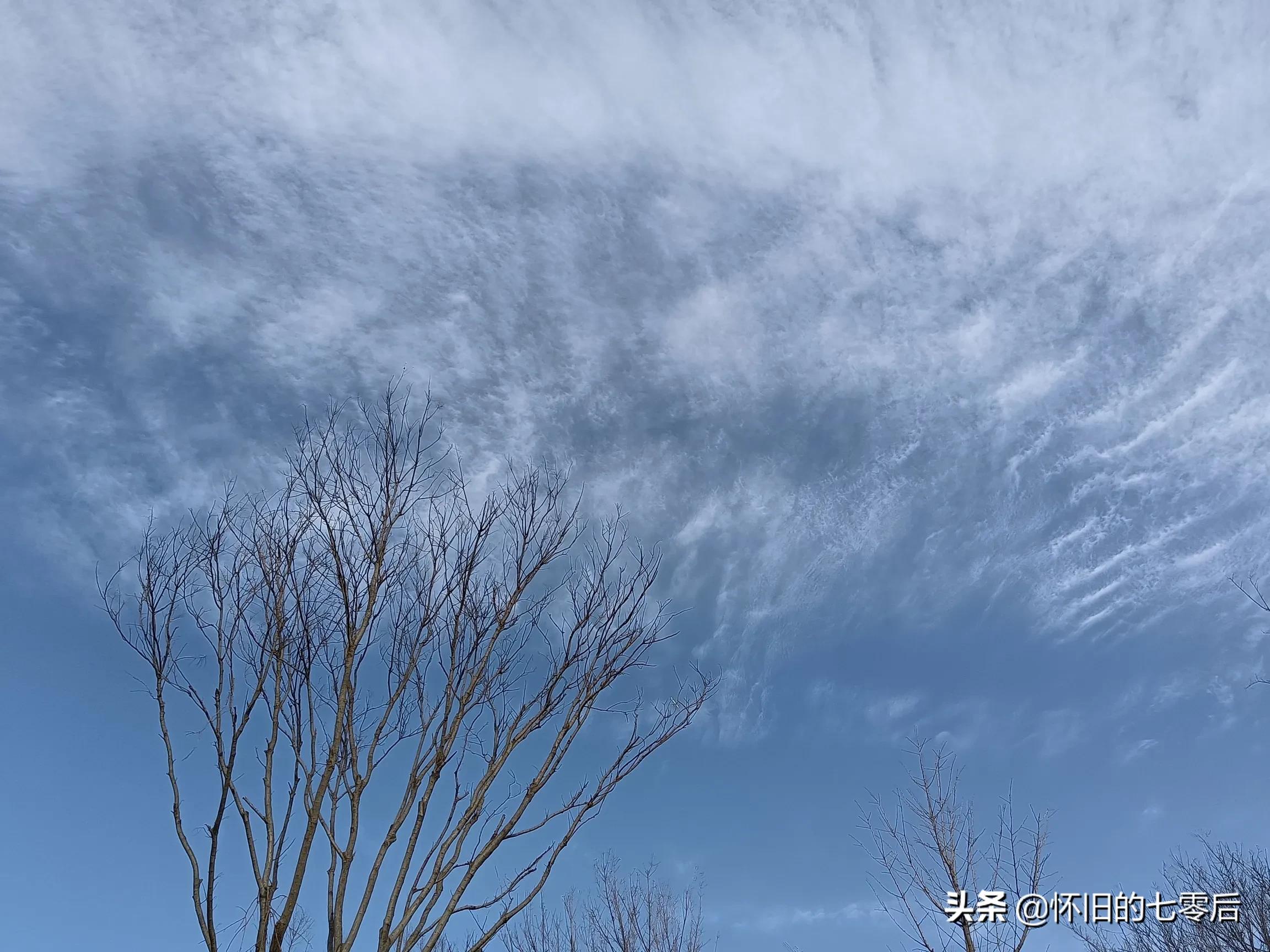 一件风雪衣,万千情意;两行伶俐齿,丧命根苗
