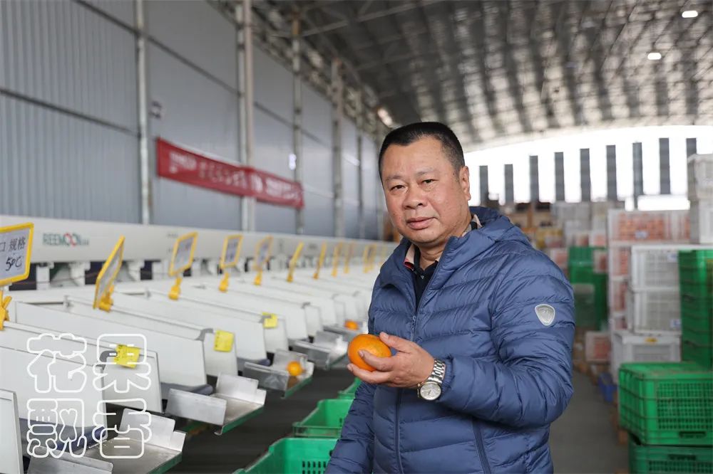 从0.6元到4元，优质优价能否引领农民种好果？