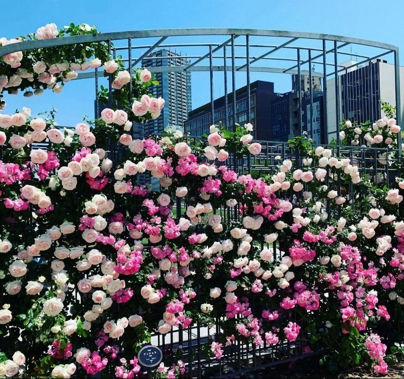 日本大阪十大值得去的地方,日本大阪旅游必去十大景点