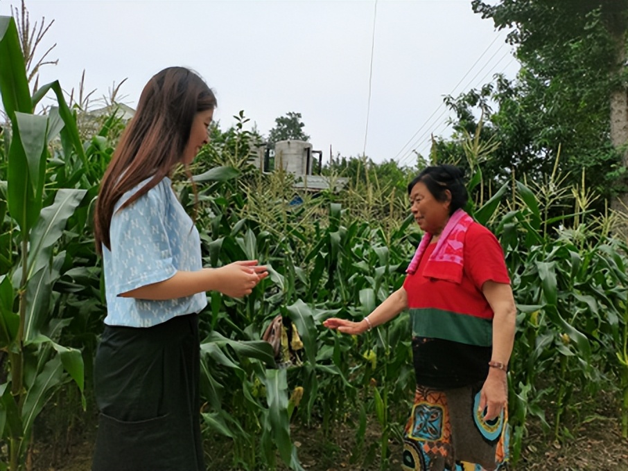 姜堰区乡村振兴工作,姜堰两会乡村振兴