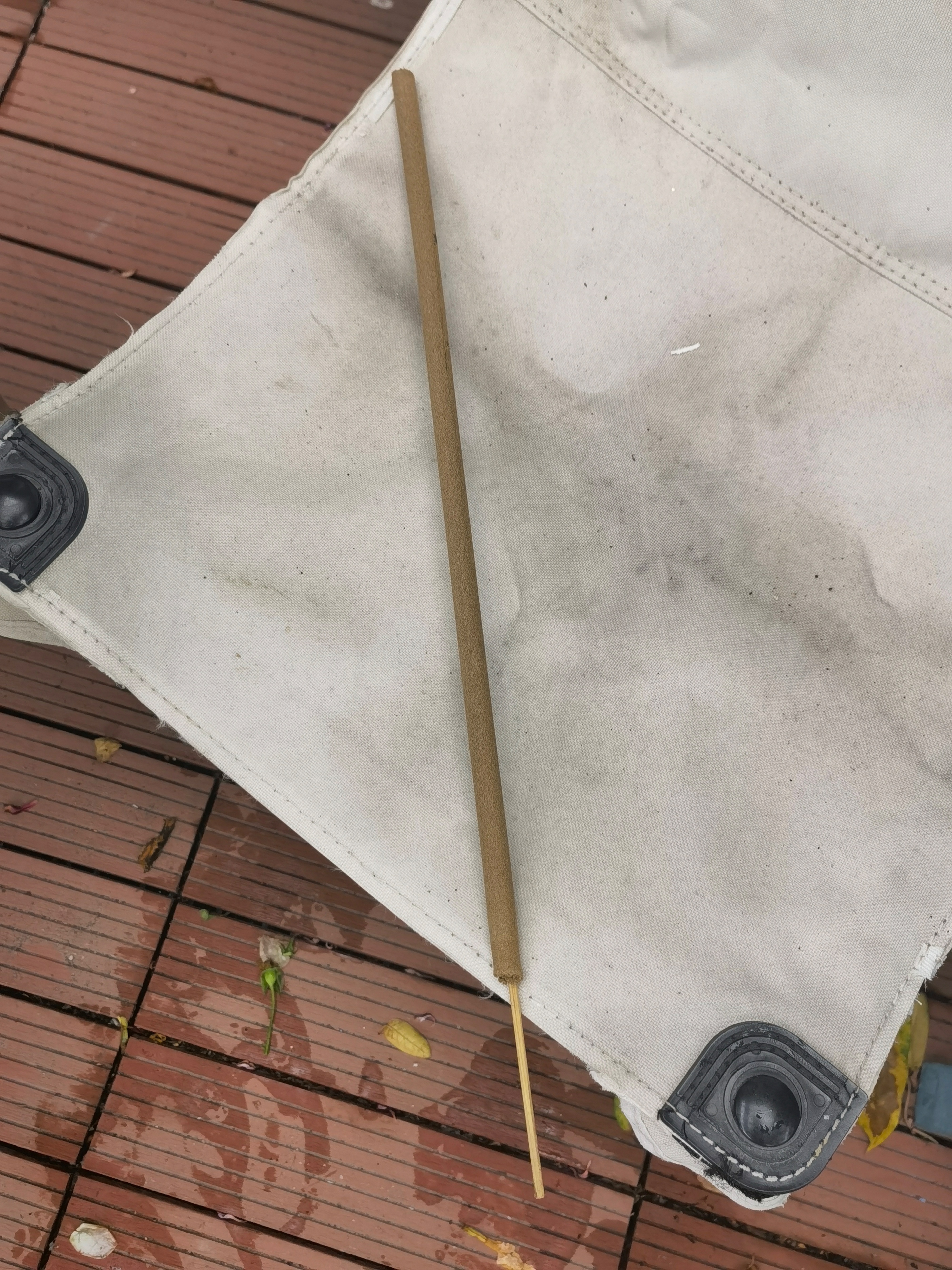 夏日驱蚊的好物分享,夏日家庭必备驱蚊好物