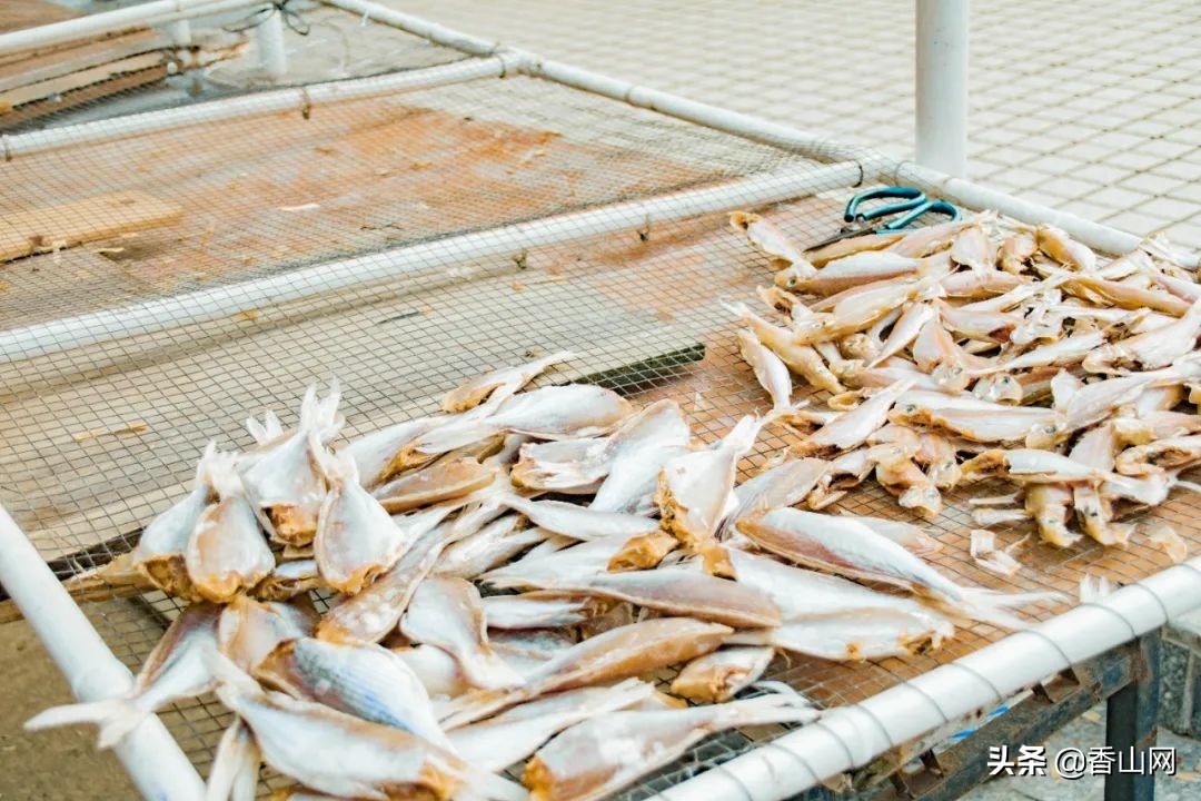 珠海值得去的海岛,珠海最适合游玩的海岛