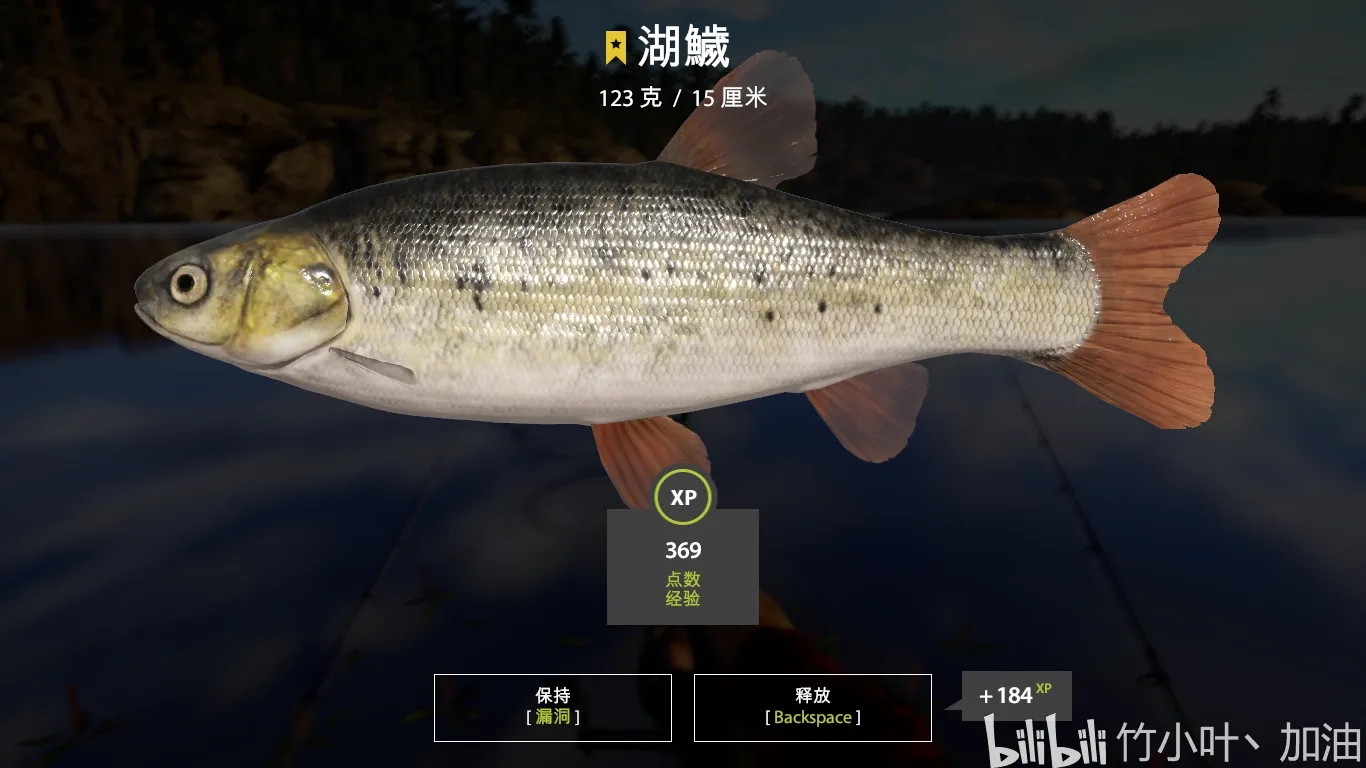 黑龙江鱼类大全名称,黑龙江十大出名鱼排名