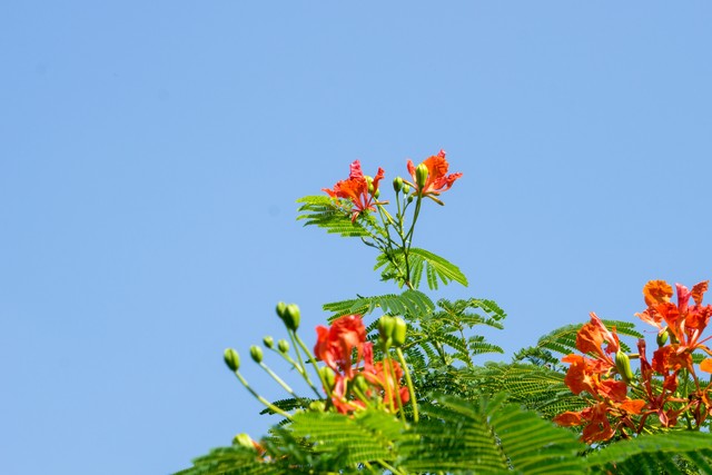 工作仅仅是工作而已没必要内耗,工作已经挺累了就不要互相内耗