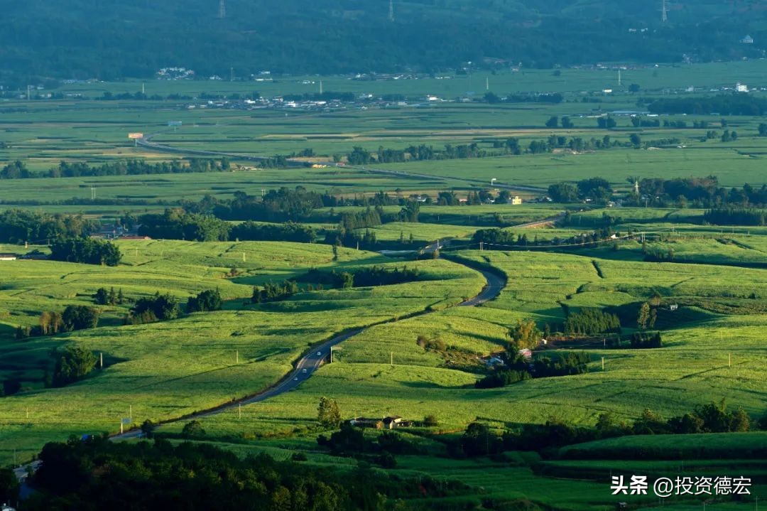 特色兴农看德宏|“甜蜜”的蔗糖产业