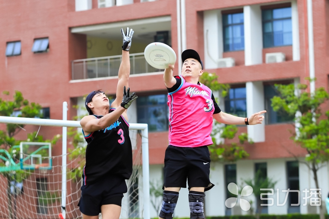 又添“新成员”！苏州市大众体育联赛引进飞盘运动