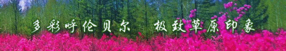 中国石油98油优惠日周几,中国石油98油优惠