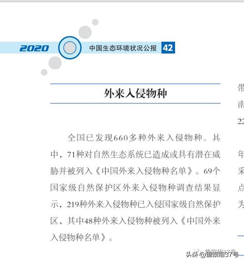 槌勯泙槌濊缃戝簵鎹㈠悕鍞崠,槌勯泙槌濊瀹氫负澶栨潵鐗╃