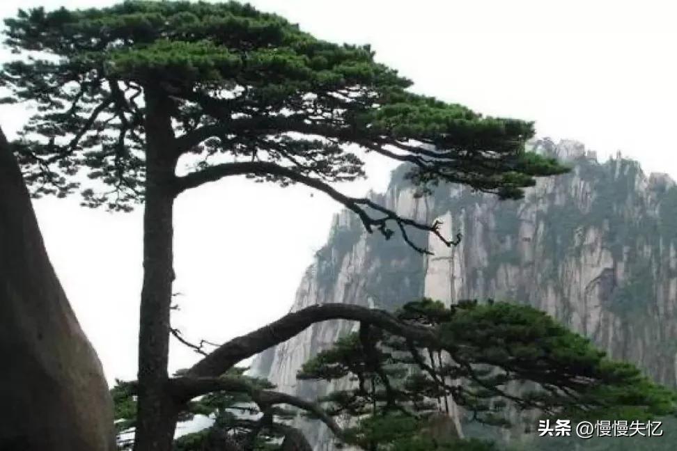 经典咏怀诗100首,咏怀诗40首欣赏