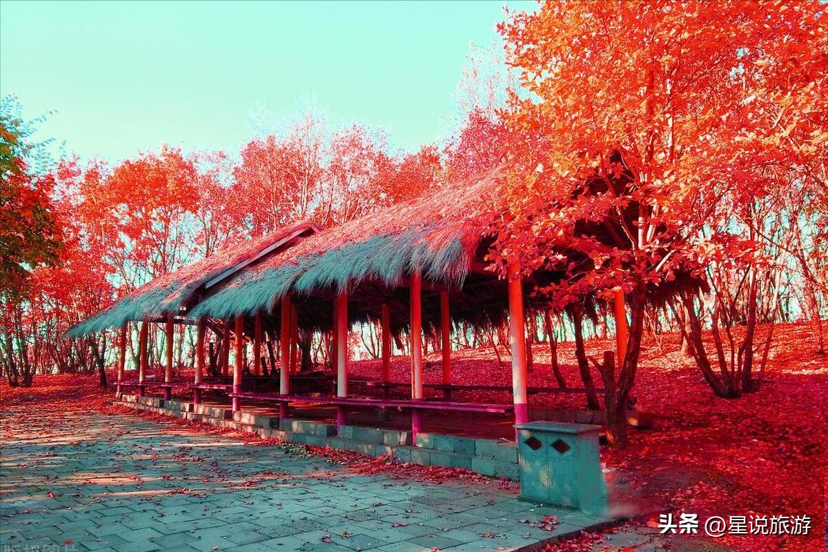 黑龙江省有几个5a级景区,黑龙江玻璃栈道景区有哪些