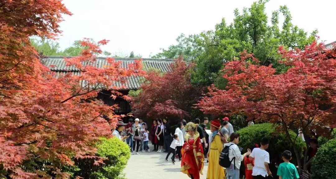 焦作影视城景区,参观焦作影视城