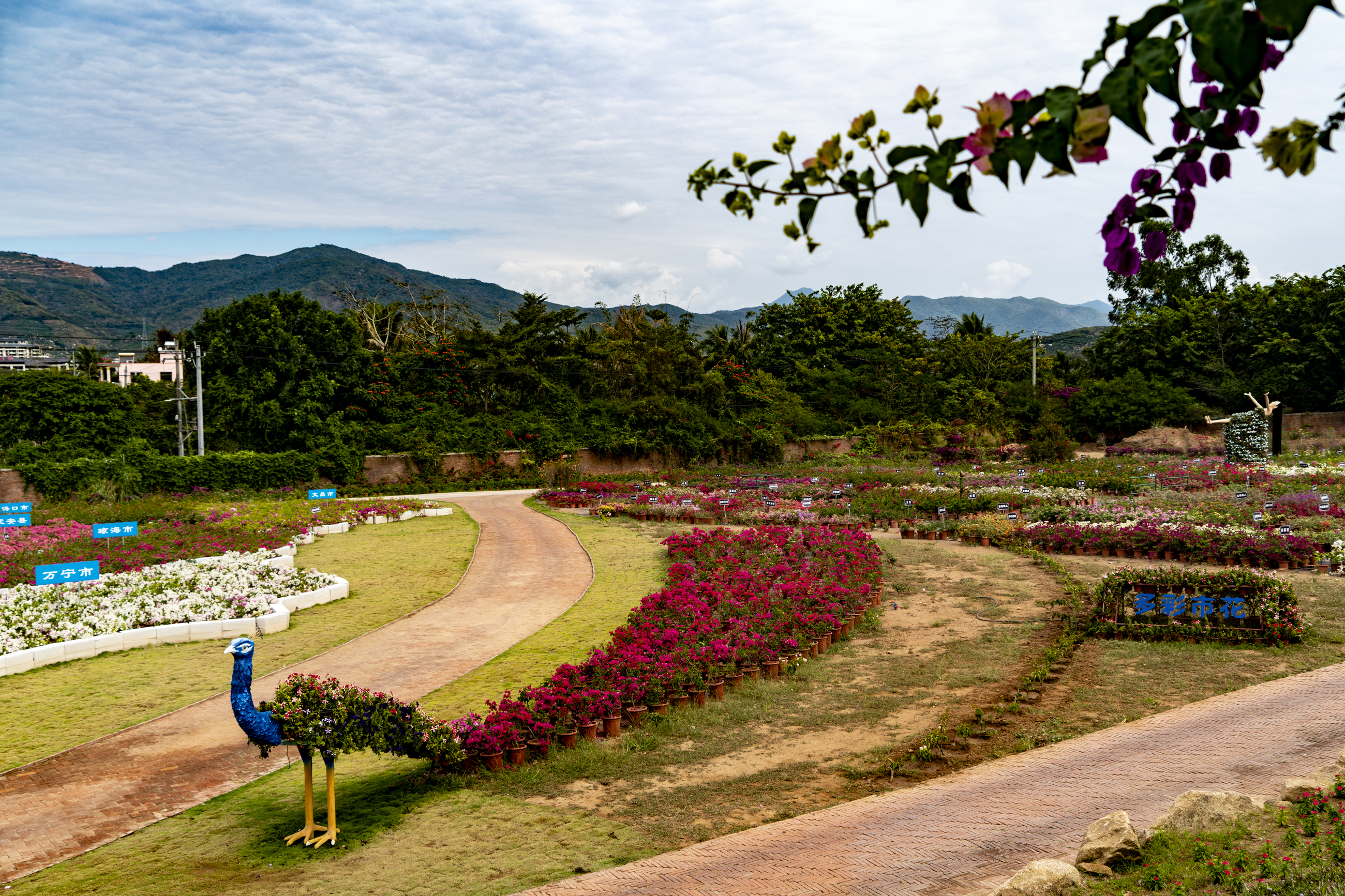 三亚天行森林公园门票,三亚天行森林公园旅游攻略