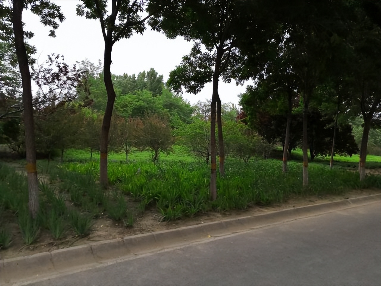 杀鸡手脚并用,女人菜刀杀鸡