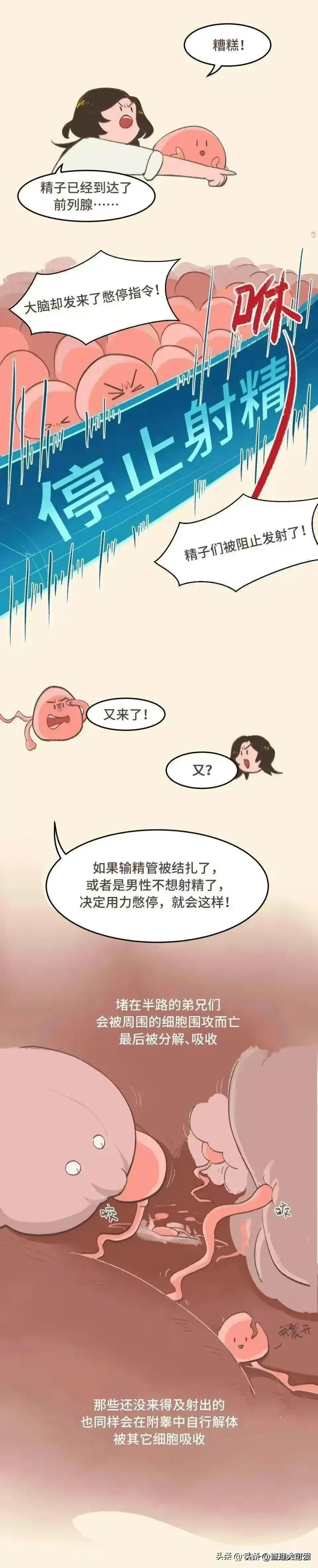 男女发生关系，最后关头不射进去会怀孕吗？漫画