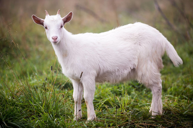我从婆家逃到*疆新**刮大白挣了十万，父亲为弟弟要钱变痴呆,1