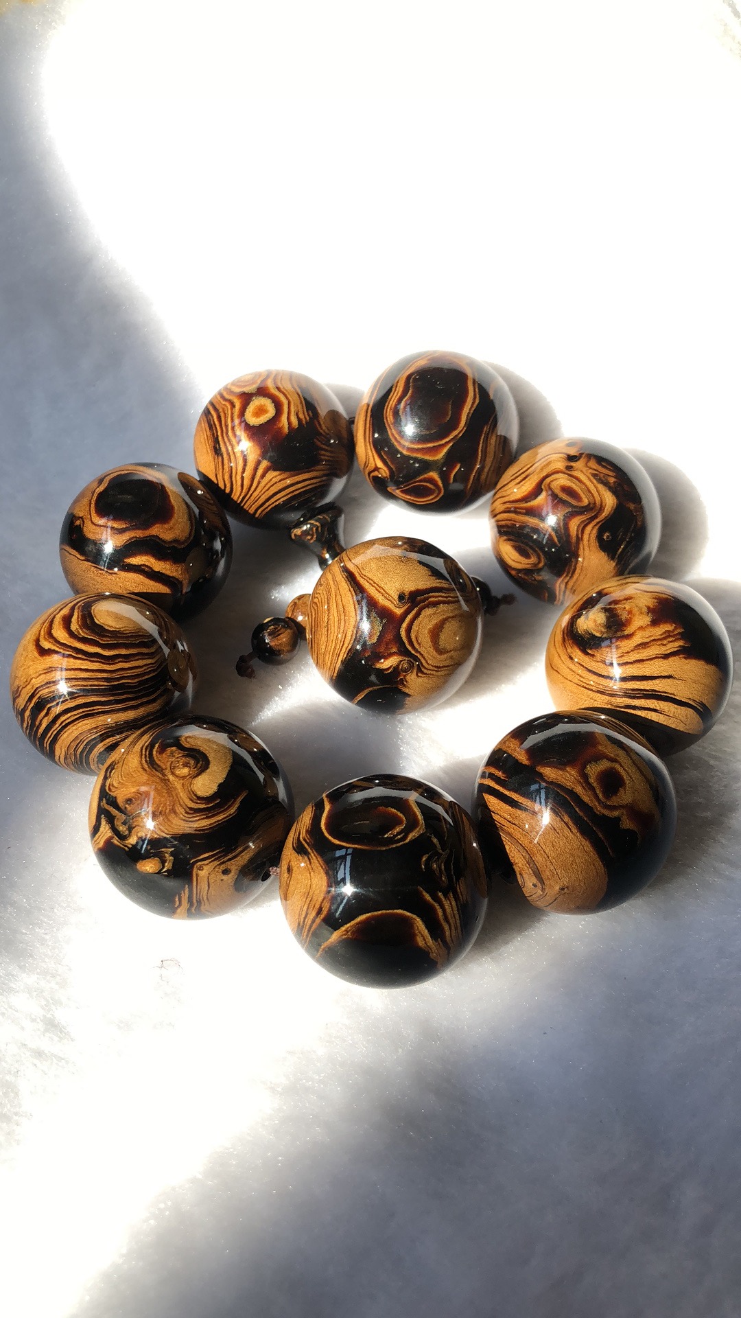 市面上主流的廉价海柳，你了解多少