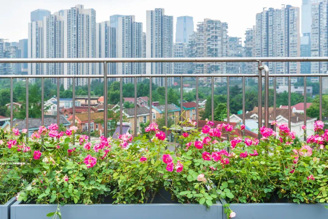 成都最好的全景阳台,四川成都最美阳台