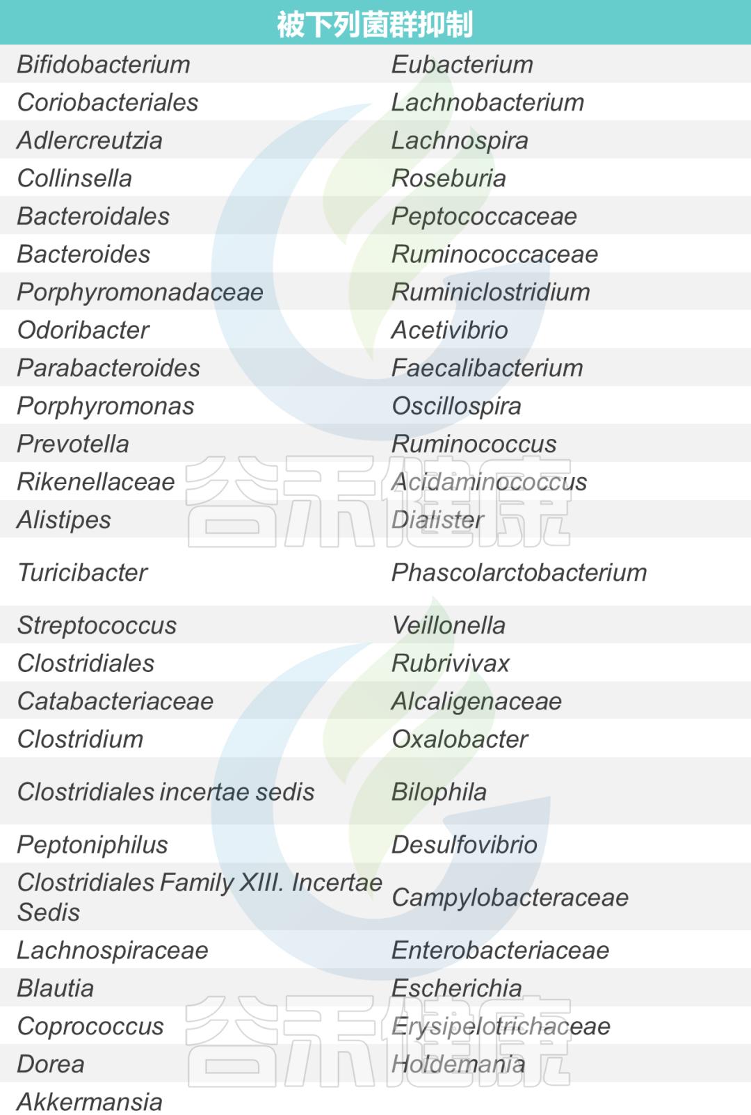 肠道菌包括哪些菌种,肠道菌群微生物种类分析