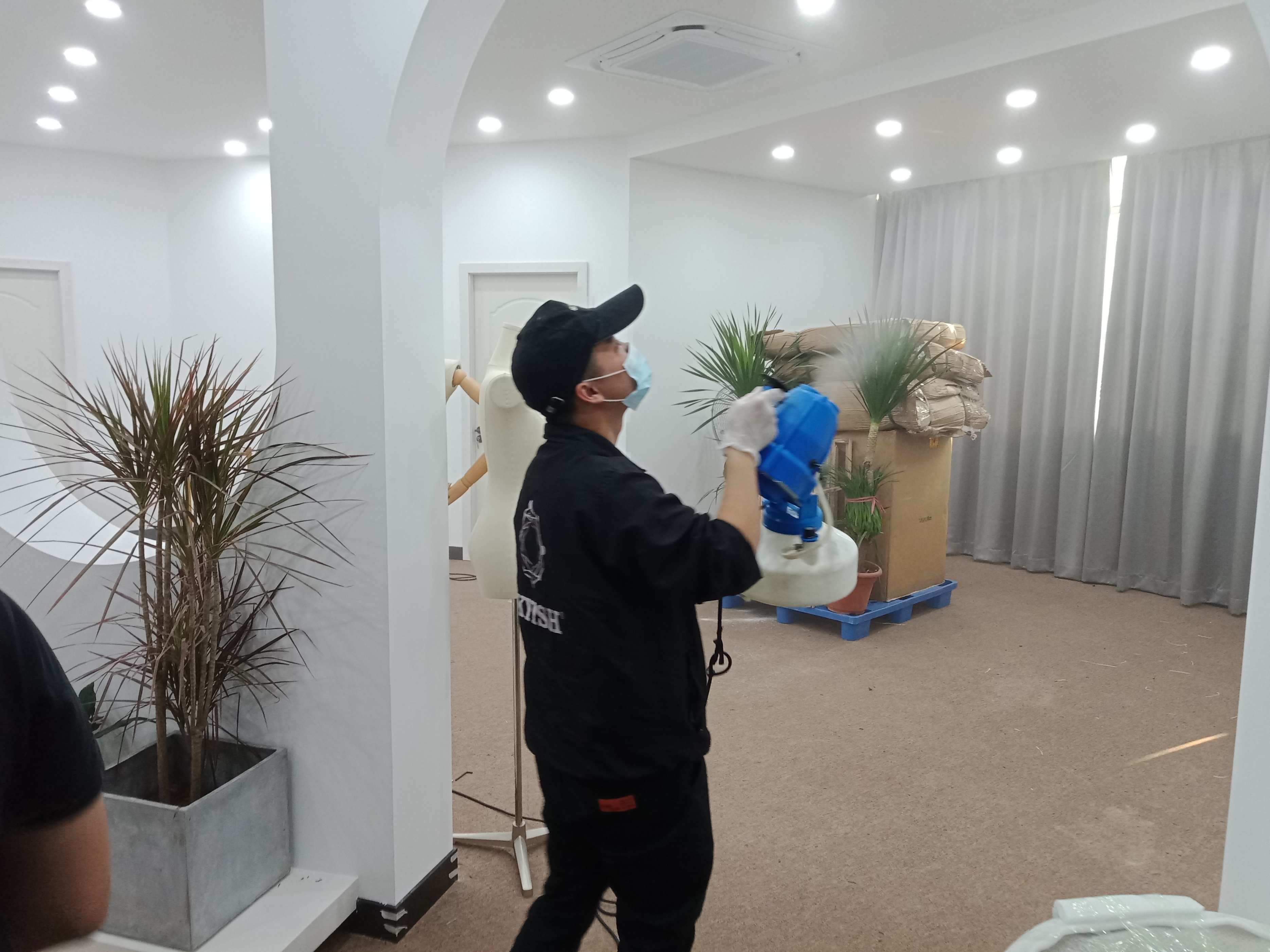 装修除甲醛最有效的方法,除甲醛最有效方法央视报道