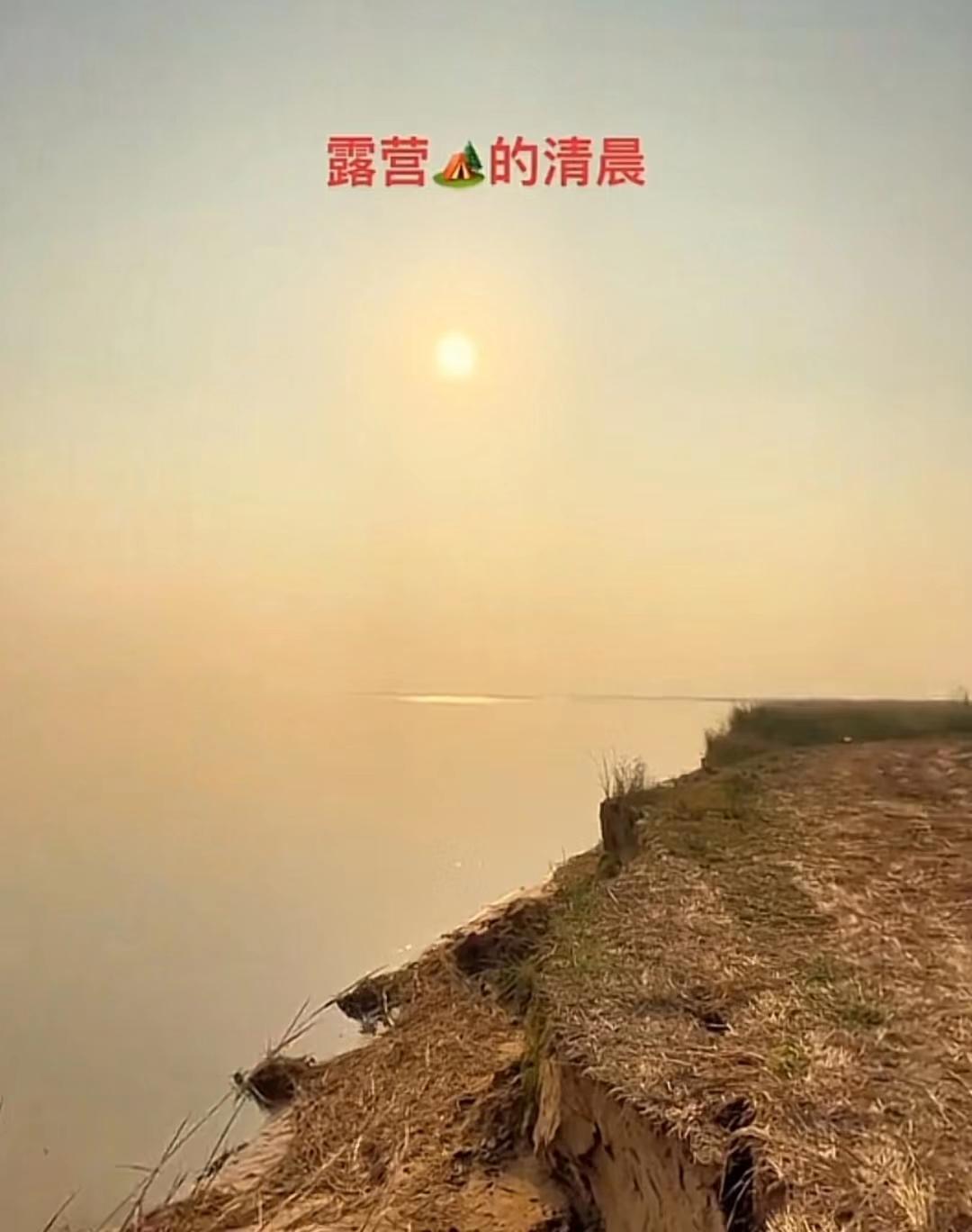 22年郑州5人1狗露营被困22天，靠居民投喂生存，荒野求生结局如何